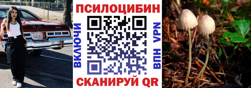 Купить  Уяр  Псилоцибиновые грибы мухоморы 