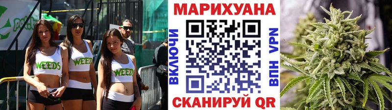 Бошки Шишки планчик  Купить где  Уяр 